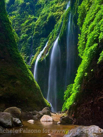 Madakaripura Falls, Java, Indonesia.jpg